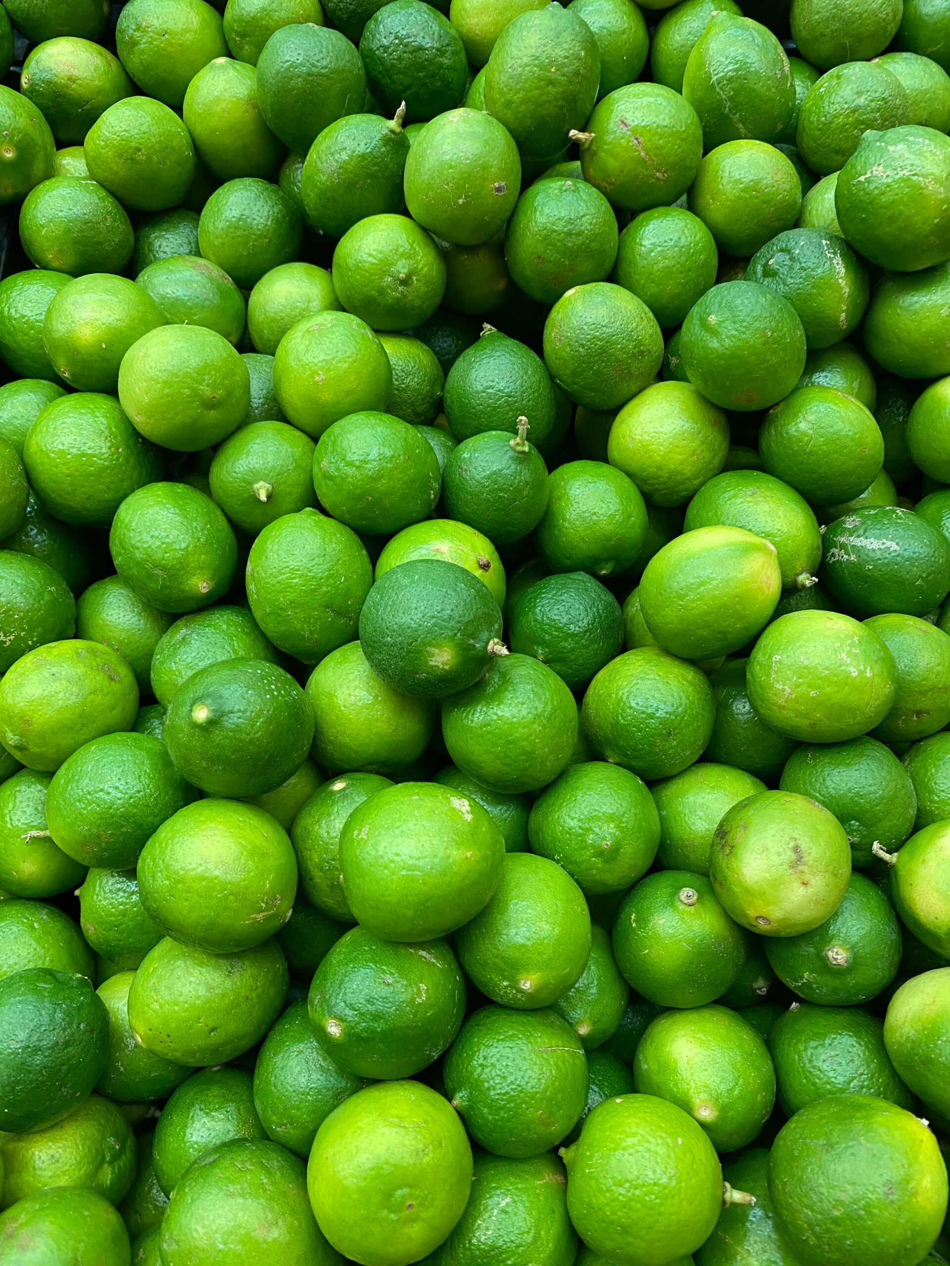 miguel angel escalera mb8riw9hhjy unsplash