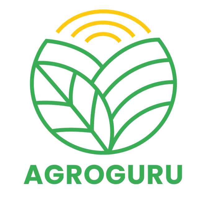 logo menoswifi